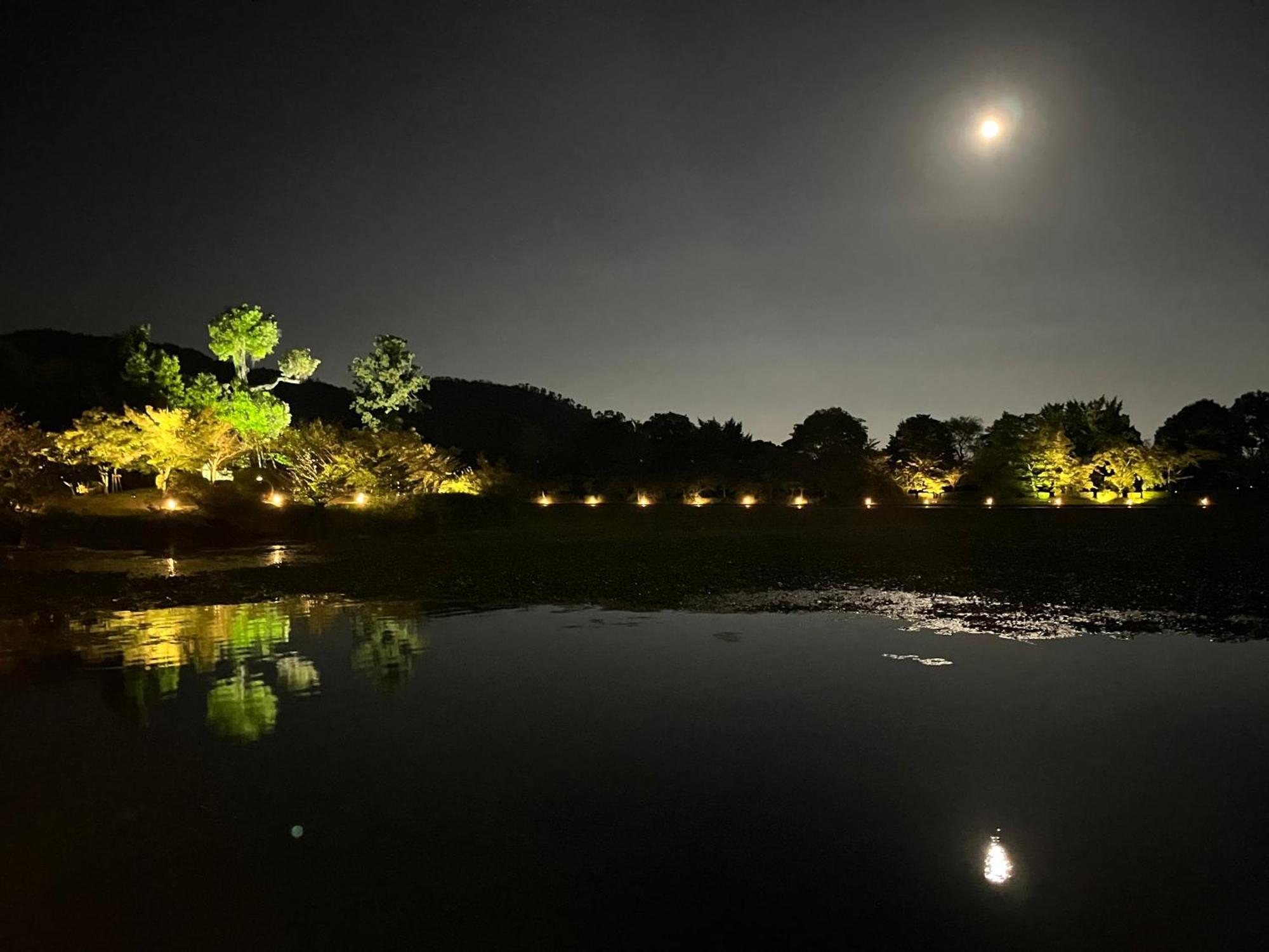 嵐山 天龍の宿 駐車無料 一棟貸切 最大5人 Dragon Legend Arashiyama Central Private Rare Modern Villa Free Parking Max 5Ppl Shimo-saga Esterno foto