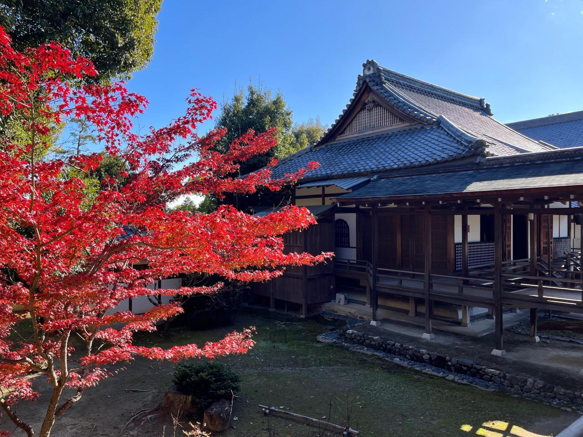 嵐山 天龍の宿 駐車無料 一棟貸切 最大5人 Dragon Legend Arashiyama Central Private Rare Modern Villa Free Parking Max 5Ppl Shimo-saga Esterno foto