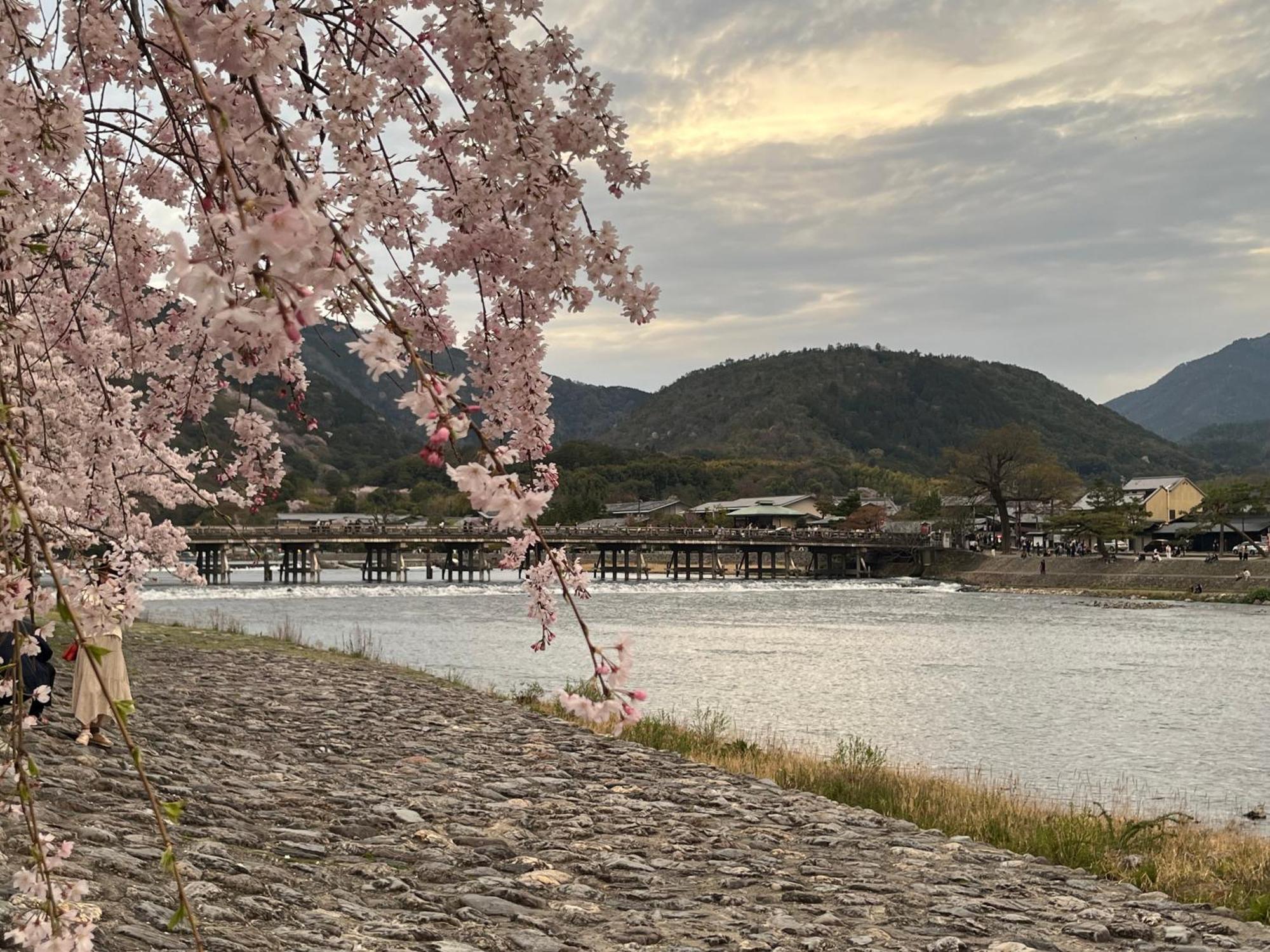 嵐山 天龍の宿 駐車無料 一棟貸切 最大5人 Dragon Legend Arashiyama Central Private Rare Modern Villa Free Parking Max 5Ppl Shimo-saga Esterno foto