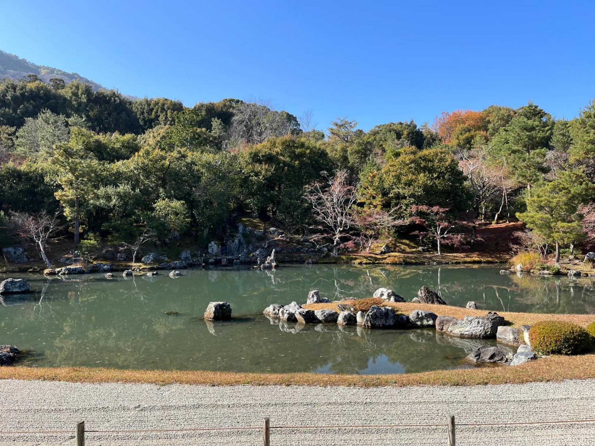嵐山 天龍の宿 駐車無料 一棟貸切 最大5人 Dragon Legend Arashiyama Central Private Rare Modern Villa Free Parking Max 5Ppl Shimo-saga Esterno foto